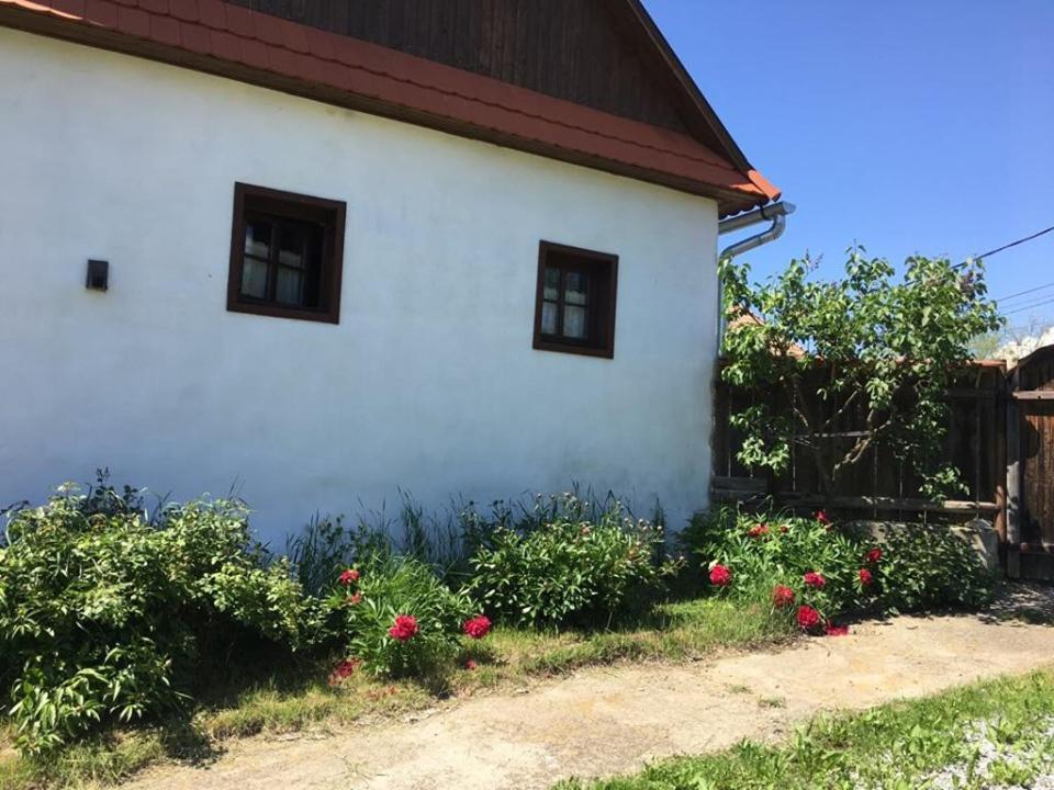 Miklos Lak Ocna de Sus Zewnętrze zdjęcie